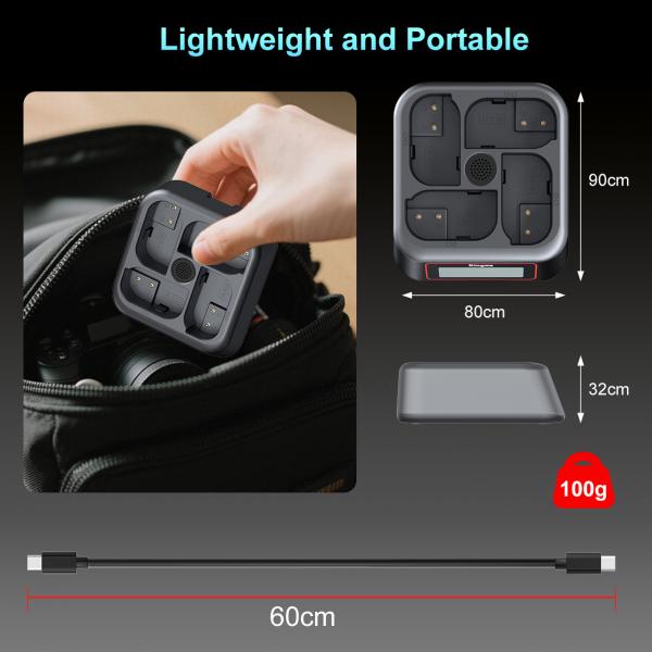 KingMa BM069-FZ100 на 4 батареї