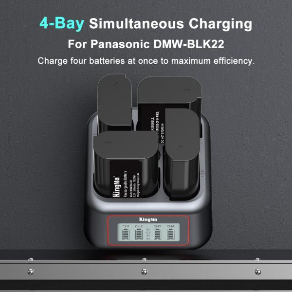 KingMa BM069-FZ100 на 4 батареї