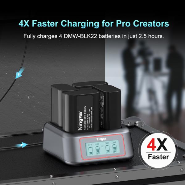 KingMa BM069-FZ100 на 4 батареї